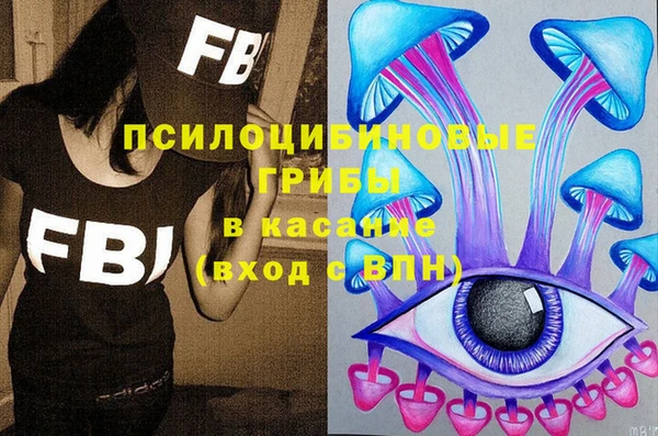 ГАЛЛЮЦИНОГЕННЫЕ ГРИБЫ Балахна