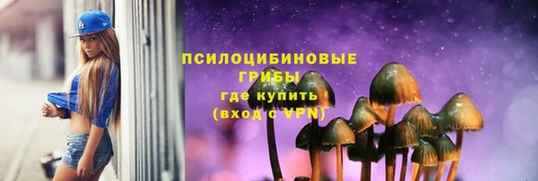 ГАЛЛЮЦИНОГЕННЫЕ ГРИБЫ Балахна