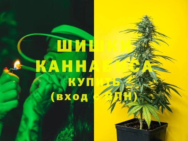 ГАЛЛЮЦИНОГЕННЫЕ ГРИБЫ Балахна