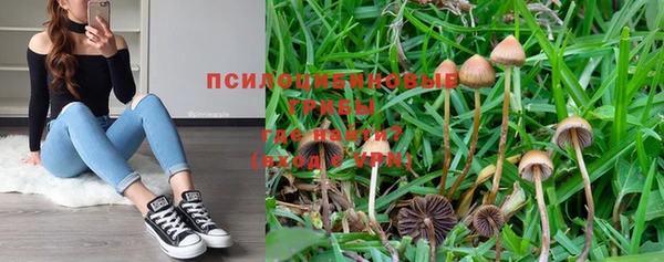 ГАЛЛЮЦИНОГЕННЫЕ ГРИБЫ Балахна